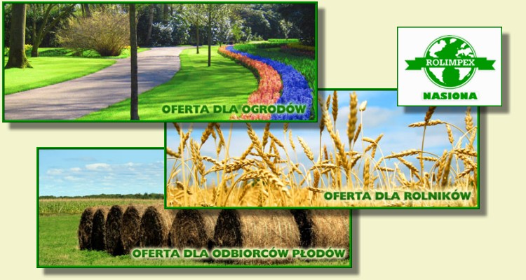 Rolimpex herbares seed of herbares material for sowing of grain Poland